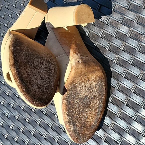 Vince - Picture 9 of 9